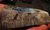 GEWALTIGER HONDURAS SAMMLER OPAL 1045 CT BRILLIANT RED COLORS