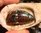 KOROIT GEM OPAL 49.8 carat LEUCHTEND GRÜN-BLAUE ADERN