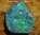 29,1 Carat Black Opal GEM Green-Blue-Turquise