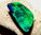 4.8ct. GEM BLACK OPAL BRILLIANT ELECTRIC GREEN-PETROL-BLUE